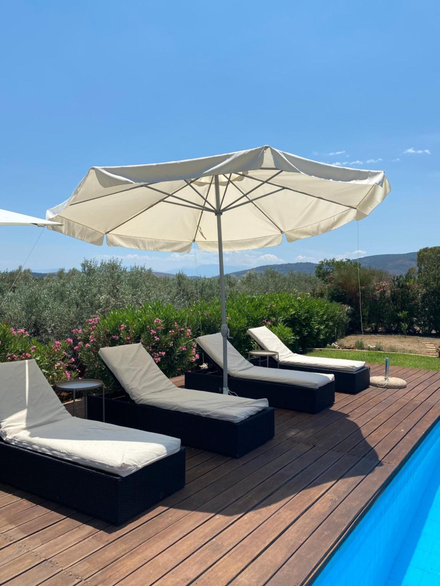 Georges Villa Galaxidi, Family, Pool And Garden Exteriér fotografie